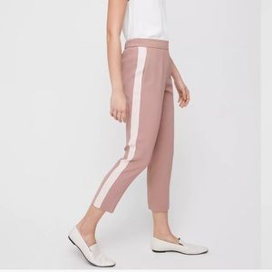 Babaton Conan Pant Terado (Size 6)